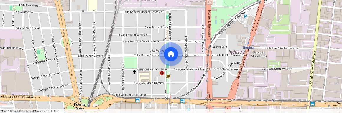 Calle Martín Carrera 618-C, Monterrey, Nuevo León, 64290, MEX