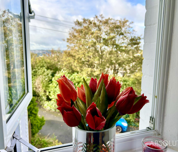 1 bed apartment to rent in Higher Erith Road, Torquay, TQ1 - Photo 1