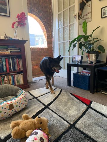 Gladesville - Photo 2