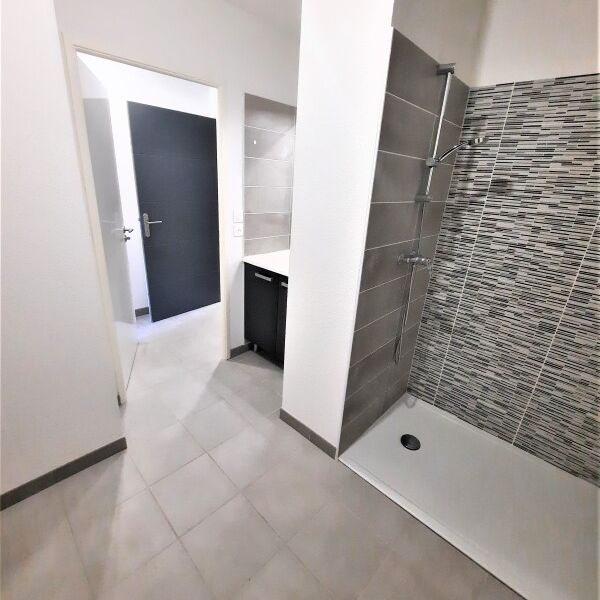 Location Appartement 1 pièce 22m² CASTANET TOLOSAN 31320 - Photo 1