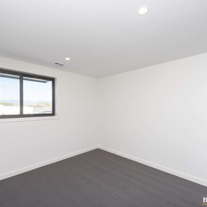 11/115 Mortimer Lewis Drive, Greenway ACT 2900 - Townhouse For Rent | Domain - Photo 1