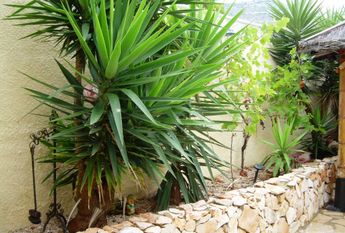 LONG TERM RENTAL Spacious villa for rent with sea views