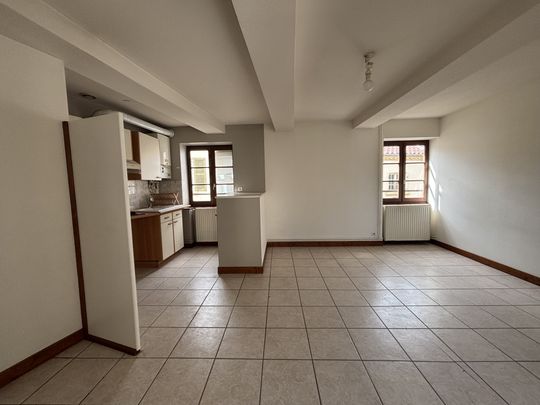 Location Appartement 2 pièces 43m² CHARLIEU 42190 - Photo 1