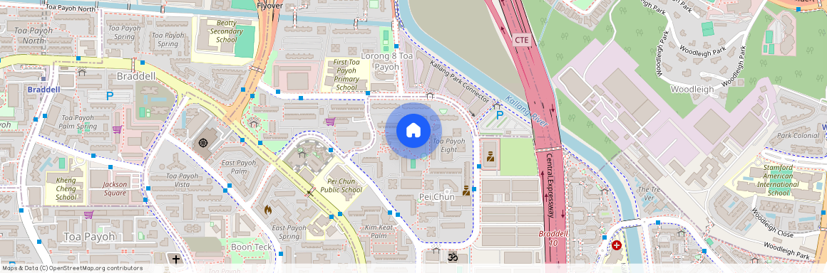 234 Lorong 8 Toa Payoh (310234), Singapore