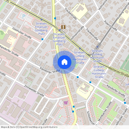 Altenberger Str. 41, 01277 Dresden - Striesen-Ost