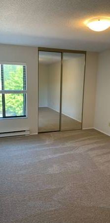 lovely spacious 2 bed 1.5 bath with in unit laundry! - Photo 1