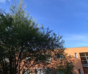 Gemütliche, neu renovierte 3-Zimmer-Wohnung in zentrumsnaher Lage - Photo 5