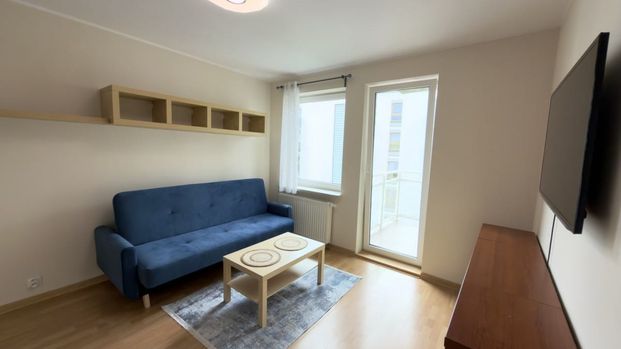 Mieszkanie do wynajęcia 2 pokoje św. Wawrzyńca, Poznań 40 m² - Zdjęcie 1
