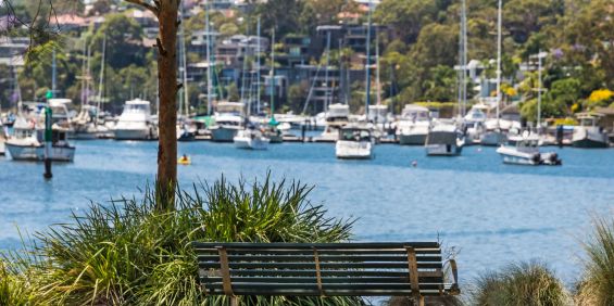 A Rare Cammeray Sanctuary - Prestige, Privacy & Waterfront Access - Photo 3