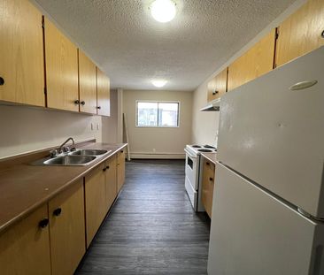 Pet Friendly 2 Bedroom 1 Bathroom Apartment - Photo 3