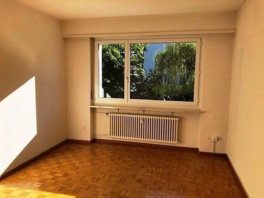 Charming apartment in Allschwil - Photo 1