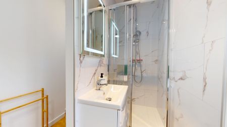 LEONARD DANEL S Colocation 4 chambres à Lille - Photo 5