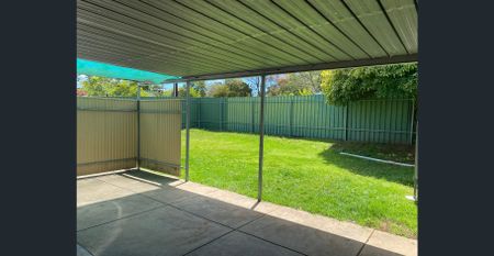 Light-filled 3-Bed Family Home with Huge Rumpus on Corner Block - Photo 5