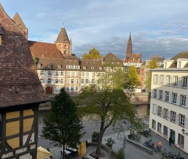 Location Appartement 2 pièces 53m² STRASBOURG 67000 - Photo 5