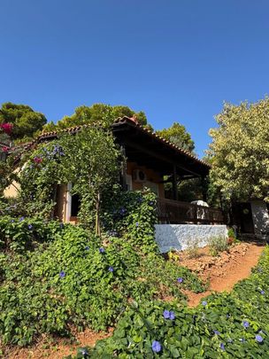 Studio/Γκαρσονιέρα για ενοικίαση Πόρτο Ράφτη (Μαρκόπουλο) - Photo 1