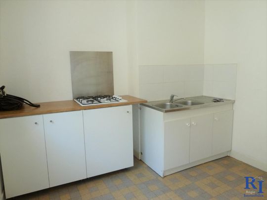 Location Appartement 2 pièces 56m² GRENOBLE 38000 - Photo 1