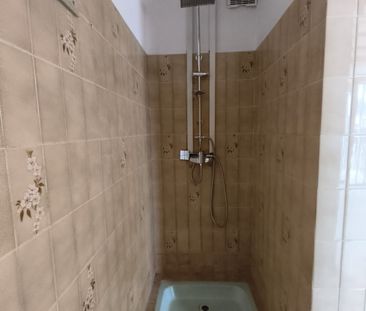 Location Appartement 1 pièce 29m² CAYENNE 97300 - Photo 1