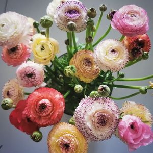 Frötunagatan, Norrtälje - Photo 3