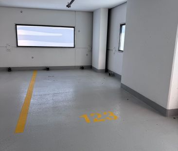 Downtown: 1 bed – SubPenthouse at Bertram - Photo 4