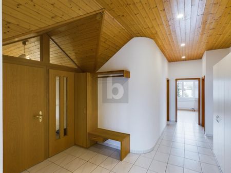 DREAM OF THE EXTRACLASS - Foto 5