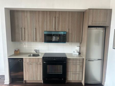 Appartement à louer à Montréal (Le Sud-Ouest) - Photo 2