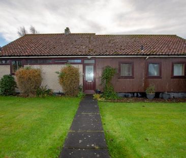 3 bedroom bungalow to rent - Photo 4