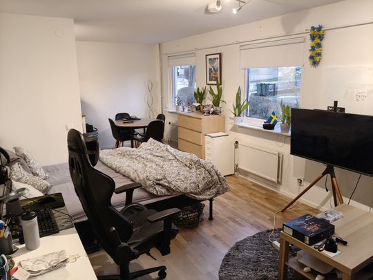 Bastugatan, Jönköping - Photo 1