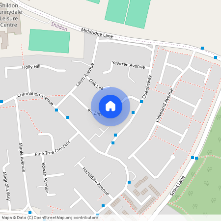 Lime Grove, Shildon