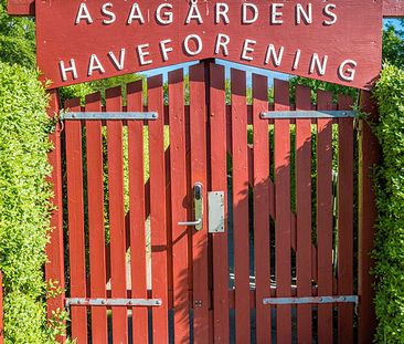 Asagården, Jættegården 1010-0 - Foto 1