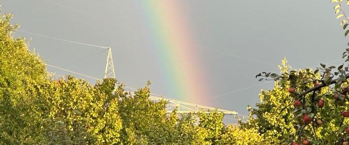 Wohnung zu vermieten - Foto 1