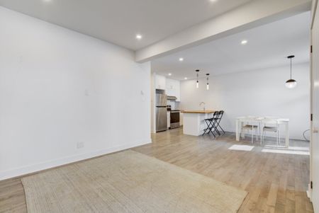 Appartement à louer - Montréal (Ville-Marie) (Village) - Photo 3