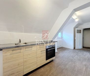 LOCATION APPARTEMENT - 43.13m² - Strasbourg - Photo 4