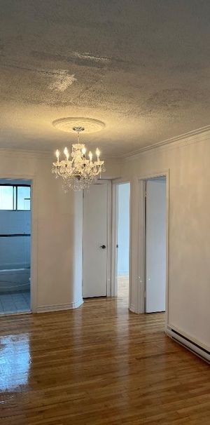 Grand 5 1/2 a louer (Semi meublé) - Photo 1