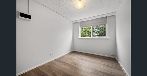 Large & Quietly Located - Photo 1