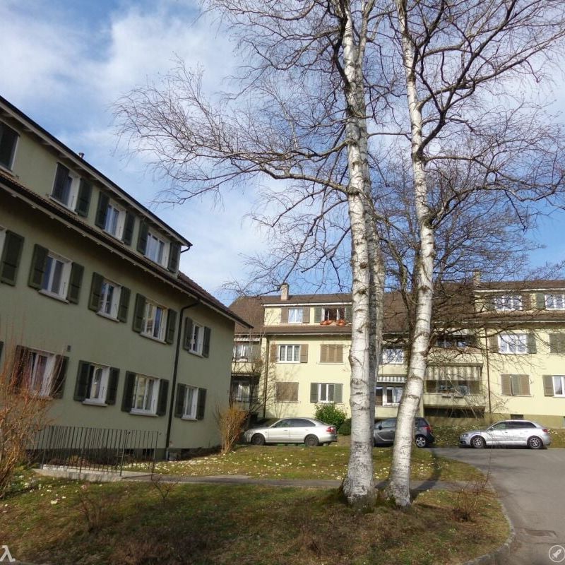 2 Zimmer, 48 m², 1. Stock - Photo 1