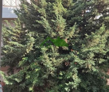 Ενοικίαση κατοικίας, 25 τ.μ., Περιστέρι, 450 € - Photo 2