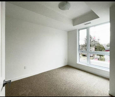 For Lease - 312 Erb Street Unit# 210, Waterloo, Ontario - Photo 3