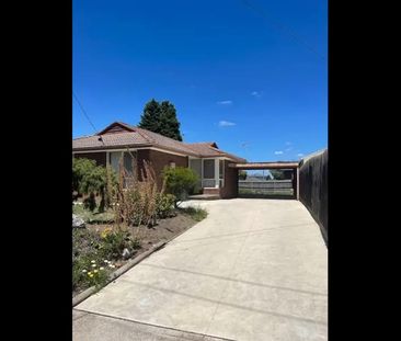 INSPECT & MOVE IN NOW - Photo 5