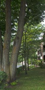 3 1/2 Ste-Foy - Tout inclus - près du cégep Garneau - décembre - Photo 4