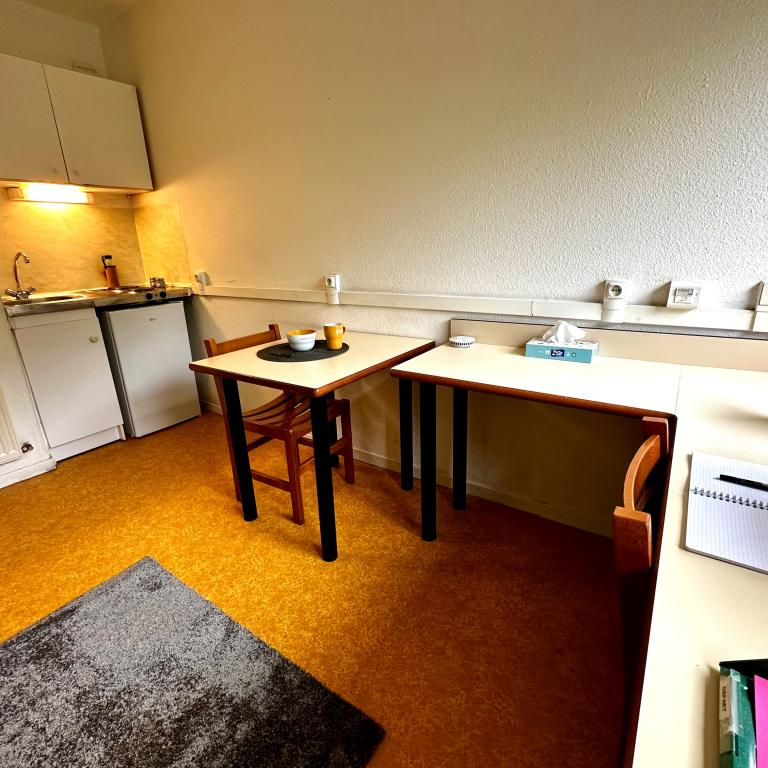 Location : Appartement 1 pièce 19 m2 – BELFORT - Photo 1