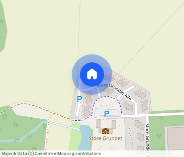 Store Grundet Alle 38, 1. th. - Photo 1