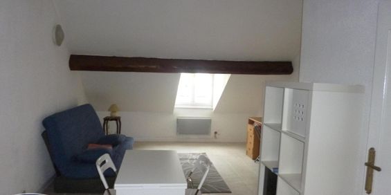 Location Appartement 1 pièce 19m² GRENOBLE 38000 - Photo 3