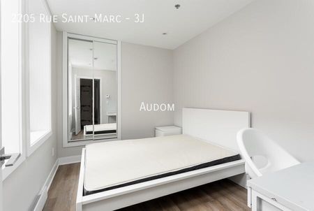 2205 Rue Saint-Marc - 3J - Photo 3