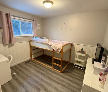 For Lease - 257 Silverbirch Drive Unit# Main, Newmarket, Ontario - Photo 3