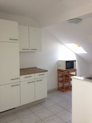 Location Appartement 2 pièces 35m² SARREGUEMINES 57200 - Photo 1