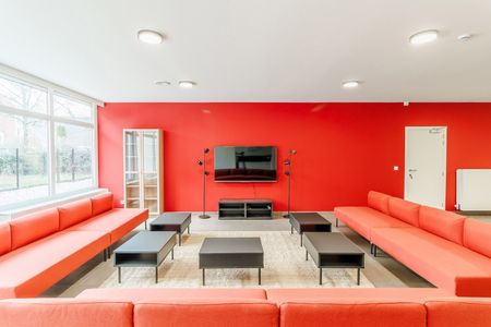 Gerenoveerde studentenkamers & studio’s - Photo 2