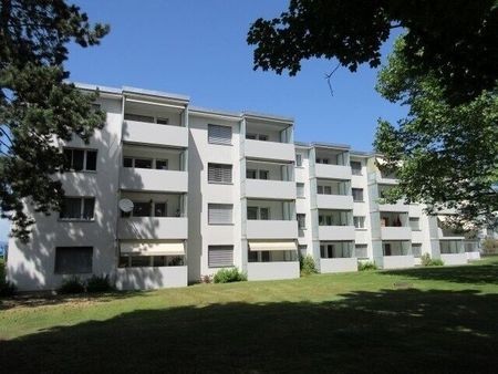 We are looking for you! 2 months FREE! - Photo 2