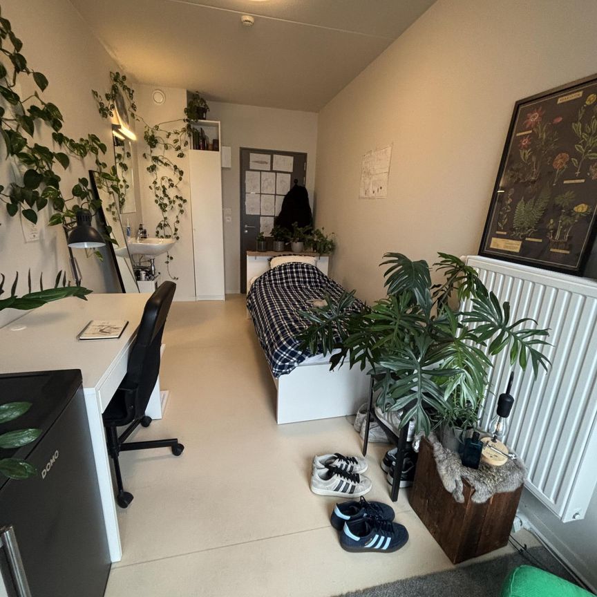 Xior Overwale — Overwale - Photo 1