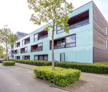 Appartement au rez-de-chaussée Sterrenkroos, Breda - À louer - Foto 6