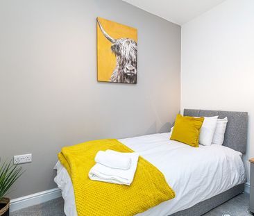 Pine Street - Photo 6